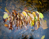 Enlarge photo 125