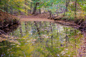 Enlarge photo 126