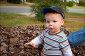 Enlarge photo 80
