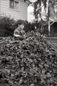 Enlarge photo 94