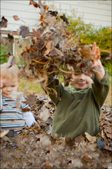 Enlarge photo 106