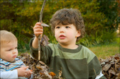 Enlarge photo 108