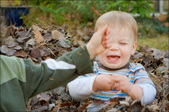 Enlarge photo 109