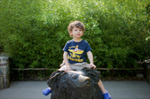 Enlarge photo 48