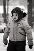 Enlarge photo 78