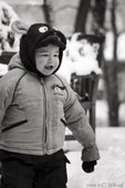 Enlarge photo 84