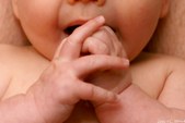 Enlarge photo 41
