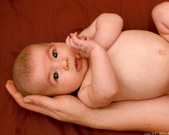 Enlarge photo 46