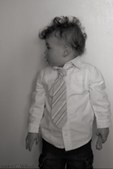 Enlarge photo 66