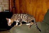 Enlarge photo 11