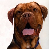 Beau (Beaujolais)