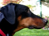 Enlarge photo 13
