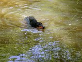 Enlarge photo 19
