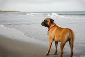 Enlarge photo 80
