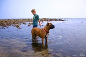 Enlarge photo 61