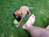 Enlarge photo 18