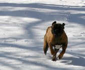 Enlarge photo 41