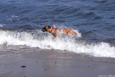 Enlarge photo 66