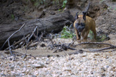 Enlarge photo 107
