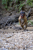 Enlarge photo 108