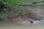 Enlarge photo 110