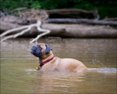 Enlarge photo 120