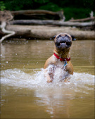 Enlarge photo 121