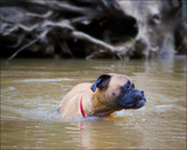Enlarge photo 127