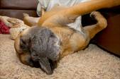 Enlarge photo 133