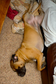 Enlarge photo 137