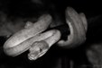 Enlarge photo 49