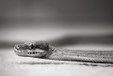 Enlarge photo 57
