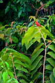 Enlarge photo 56