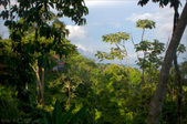 Enlarge photo 58