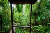 Enlarge photo 44