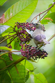 Enlarge photo 53