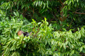 Enlarge photo 38