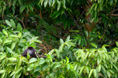 Enlarge photo 39