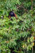 Enlarge photo 40