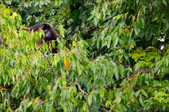 Enlarge photo 42