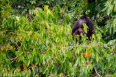 Enlarge photo 43