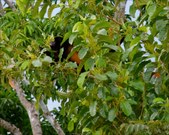 Enlarge photo 30