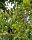 Enlarge photo 31