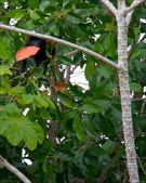 Enlarge photo 34