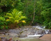 Enlarge photo 27