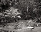Enlarge photo 28