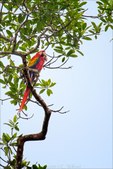 Enlarge photo 31