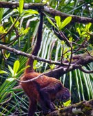 Enlarge photo 34