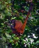 Enlarge photo 36