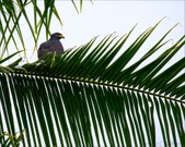 Enlarge photo 38
